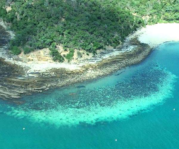 Australia's Great Barrier Reef struggles to survive
