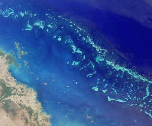 Great Barrier Reef hopes on ice in Aussie Outback
