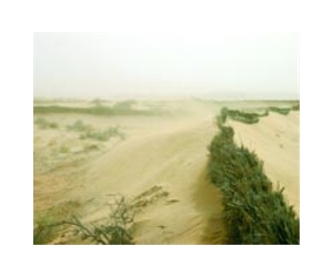 GEF backs 'Great Green Wall' with 119 million dollars