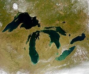 Satellites eye Great Lakes invasive plant