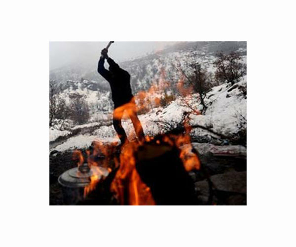 Greek woodcutters give energy crisis the chop