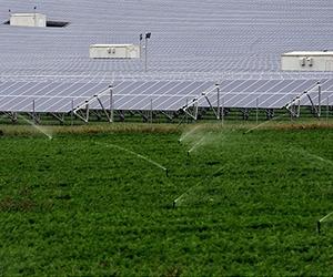 Supporting Climate-Friendly Food Production