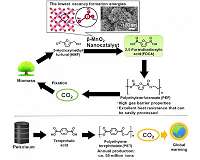 Green catalysts with Earth-abundant metals accelerate production of bio-based plastic
