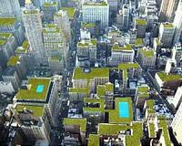 Green rooves to reduce the effects of climate change