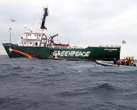 Japan Charts Course For Commercial Whaling