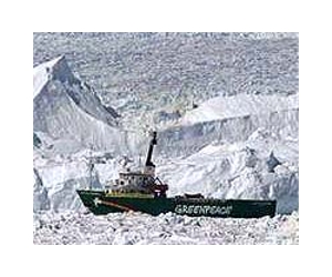 Dutch court rejects Shell bid to ban Greenpeace protests