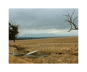 Green Sludge Can Protect Groundwater From Radioactive Contamination