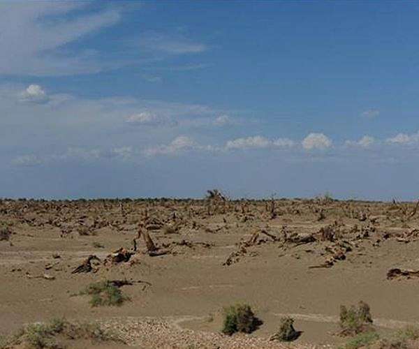 Historic drought adds to Argentina's economic woes
