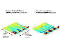 The atomic dynamics of rare everlasting electric fields