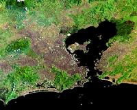 On polluted Rio island, Brazilian ecologist dreams of miracle