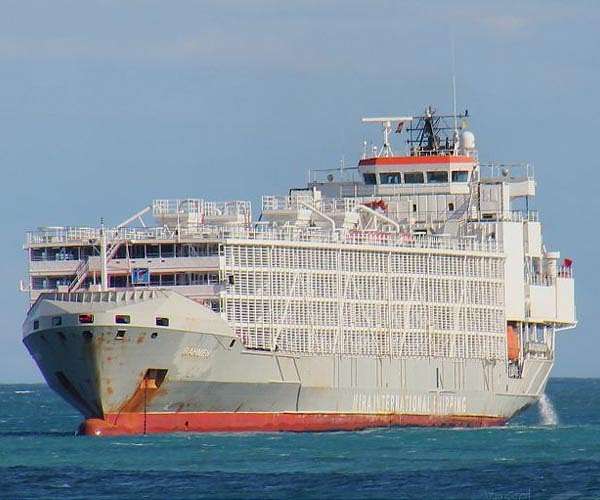Race to find ship survivors as Typhoon Haishen nears Japan