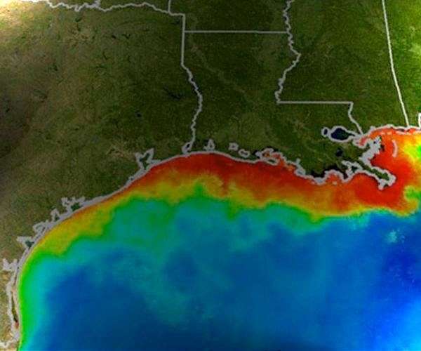 Oxygen-depleted 'dead zone' in Gulf of Mexico larger than expected this year