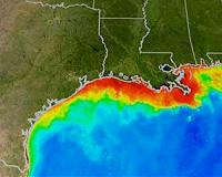 2015 Gulf 'dead zone' bigger than normal
