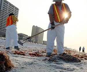 Oil will damage southern US coast for years