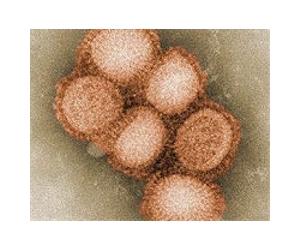 Greece cancels a third of flu vaccine orders