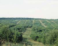 Germany Establishes First Biodiversity Exploratories
