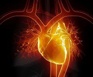 Heart attack damage slashed with microparticle therapy
