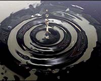 Oil-Eating Microbes Give Clue To Ancient Energy Source