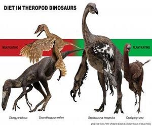 Meat-Eating Dinosaurs Not So Carnivorous After All