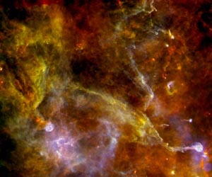 Cygnus-X: the cool swan glowing in flight