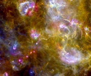 How massive stars sculpt a cosmic crib