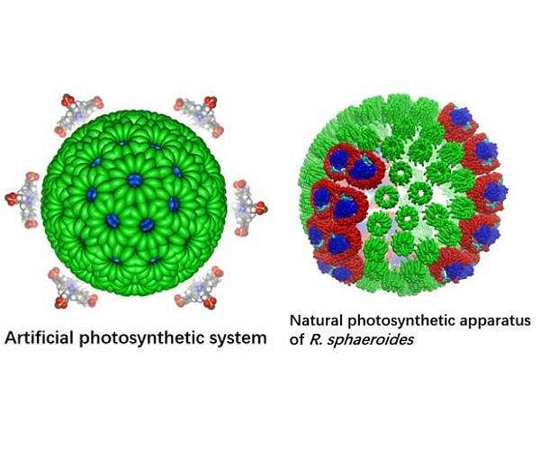 New process coverts CO2 into fuel more efficiently than photosynthesis