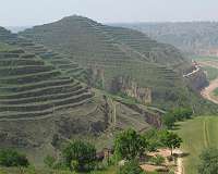 Soil tilling, mulching key to China's potato crop