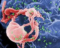 Test can detect HIV within a week of infection: researchers