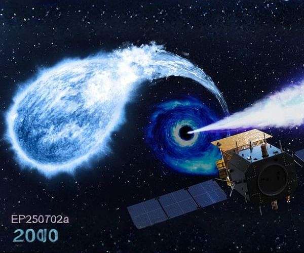 Einstein probe catch may show black hole shredding white dwarf