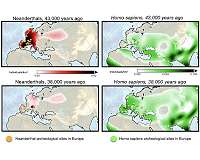 Supercomputer model simulations reveal cause of Neanderthal extinction