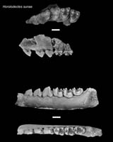Study Shows Largest North America Climate Change In 65 Million Years