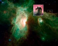 Horsehead of a Different Color