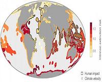 During mass extinction, no species safe: study