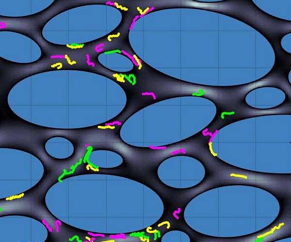 Soil plastic fragments host viral webs that could reshape farming