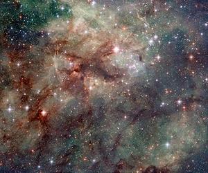 Arachnophobes Beware: Hubble Snaps Close-Up Of The Tarantula