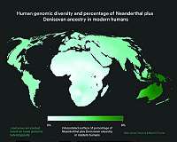 One species, many origins