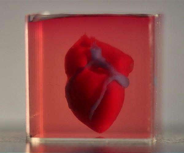 AI better than humans at key heart test: study