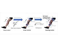 Harvesting energy from the human knee