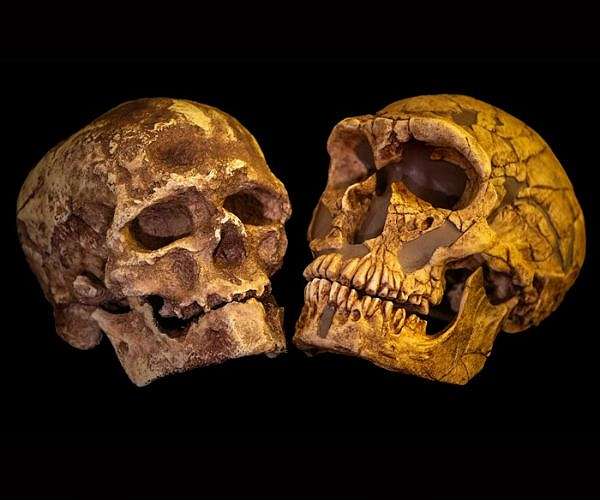 The encounter between Neanderthals and Sapiens as told by their genomes
