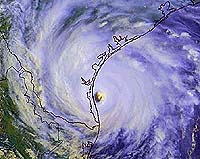 Eastern NC Ecosystem Bounces Back From Hurricanes