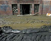 Katrina Toll Rises To 1,209, Body Search Over