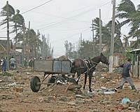 Hurricane Wilma Exacts Losses Of $704M: Cuban Government