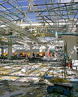 Hurricane Damage Mininized By Sticking To The Rules