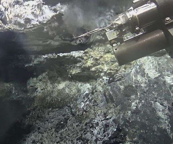Hydrogen from organic carbon in deep sediment hosted hydrothermal systems