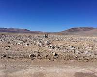 Is Mars' Soil Too Dry to Sustain Life?