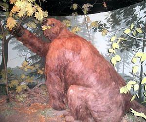 First Evidence of Hunting by Prehistoric Ohioans