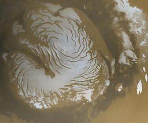 LSU Researchers Discover How Microbes Survive in Freezing Conditions
