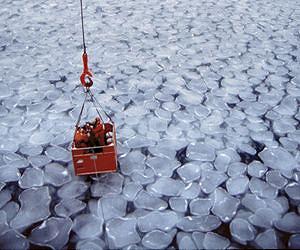 Spanish Scientist Participate in the Most Comprehensive Study Ever Done on Ice