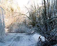 Crews struggle to restore power in ice-covered US northeast