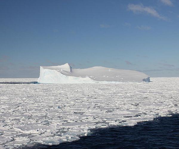 Antarctic sea ice improves after four years of extreme lows: US scientists